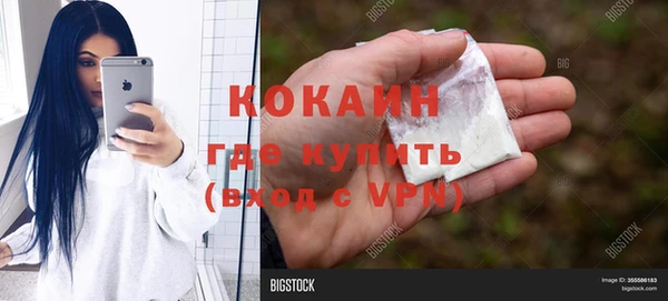 стаф Алексин