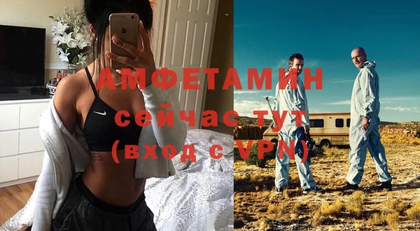 стаф Алексин