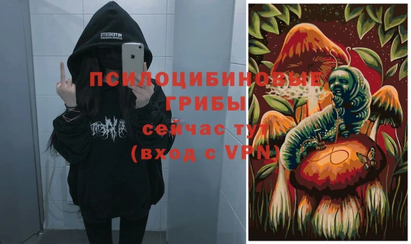таблы Алексеевка