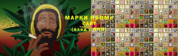 стаф Алексин
