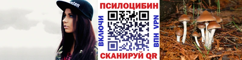 Галлюциногенные грибы ЛСД  Амурск 
